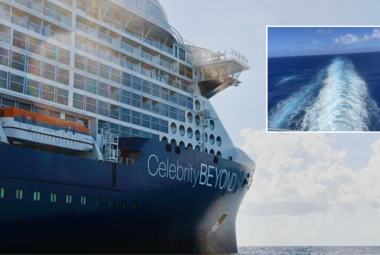 Celebrity Beyond Maintenance Issues